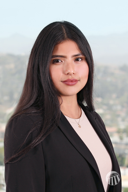 Nereida Palacios Lein Negotiations Assistant at JT Legal Group